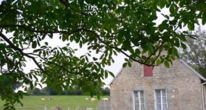 Champcervon: house / villa - Champcervon