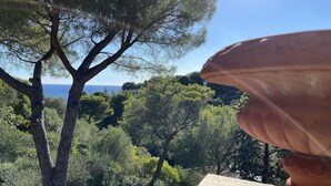 Vista de un paisaje costero con árboles y cielo despejado.