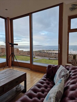 電視、壁爐、DVD 播放機、書籍