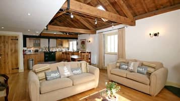 TV, fireplace, DVD player, books