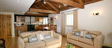 Téléviseur, foyer, lecteur de DVD, livres