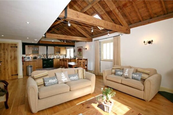TV, fireplace, DVD player, books - Chinkwell Tor barn near Widecombe in the Moor (Widecombe in the Moor)