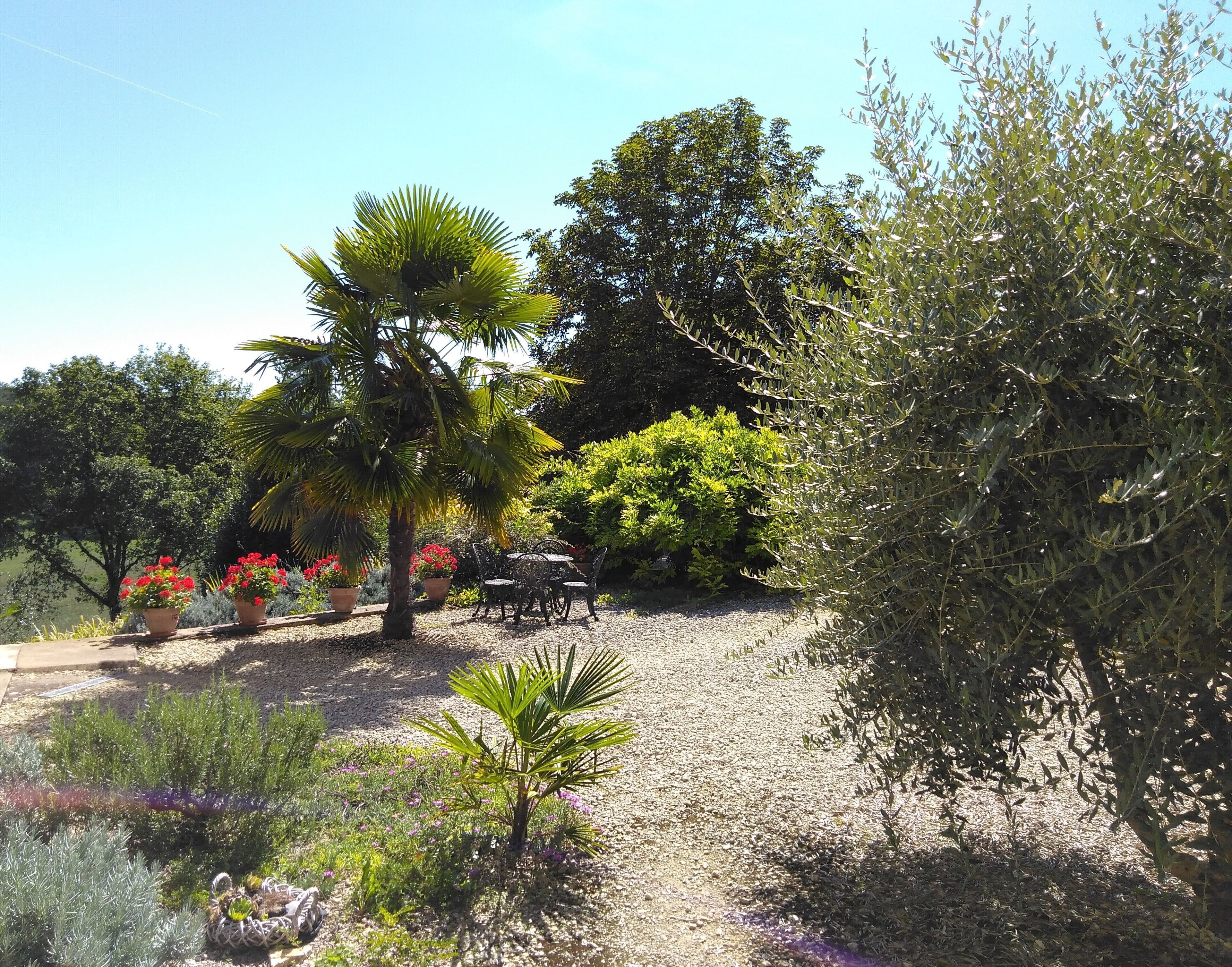Un jardin avec un chemin de gravier, des plantes en pot et une table entourée de chaises.