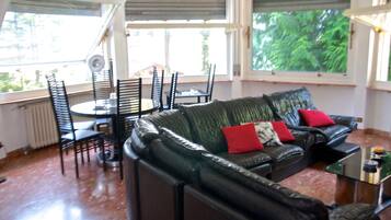 Smart TV, caminetto, libri, biblioteca musicale