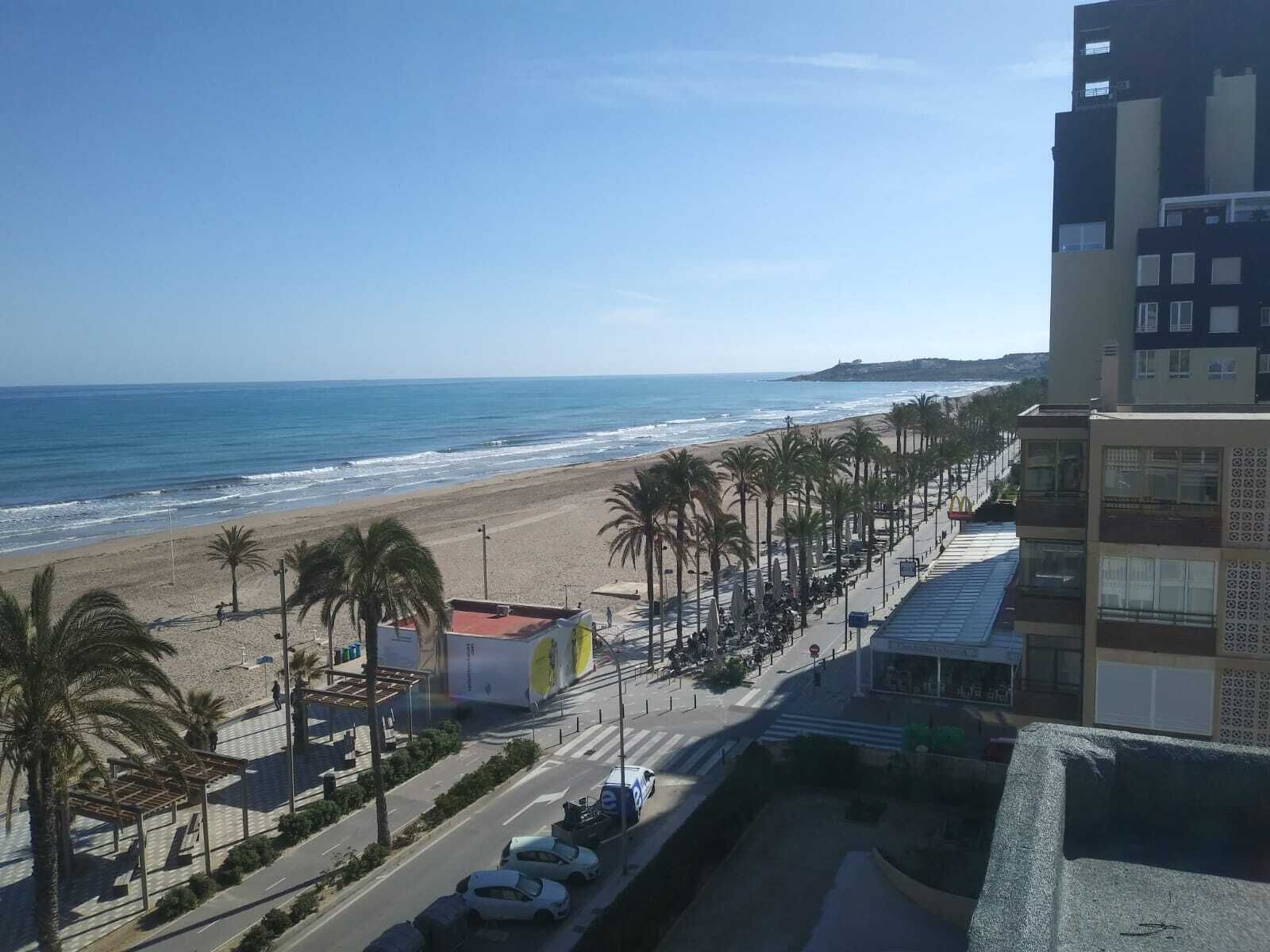 A coastal road with a beach, palm trees, and a building with a modern design.