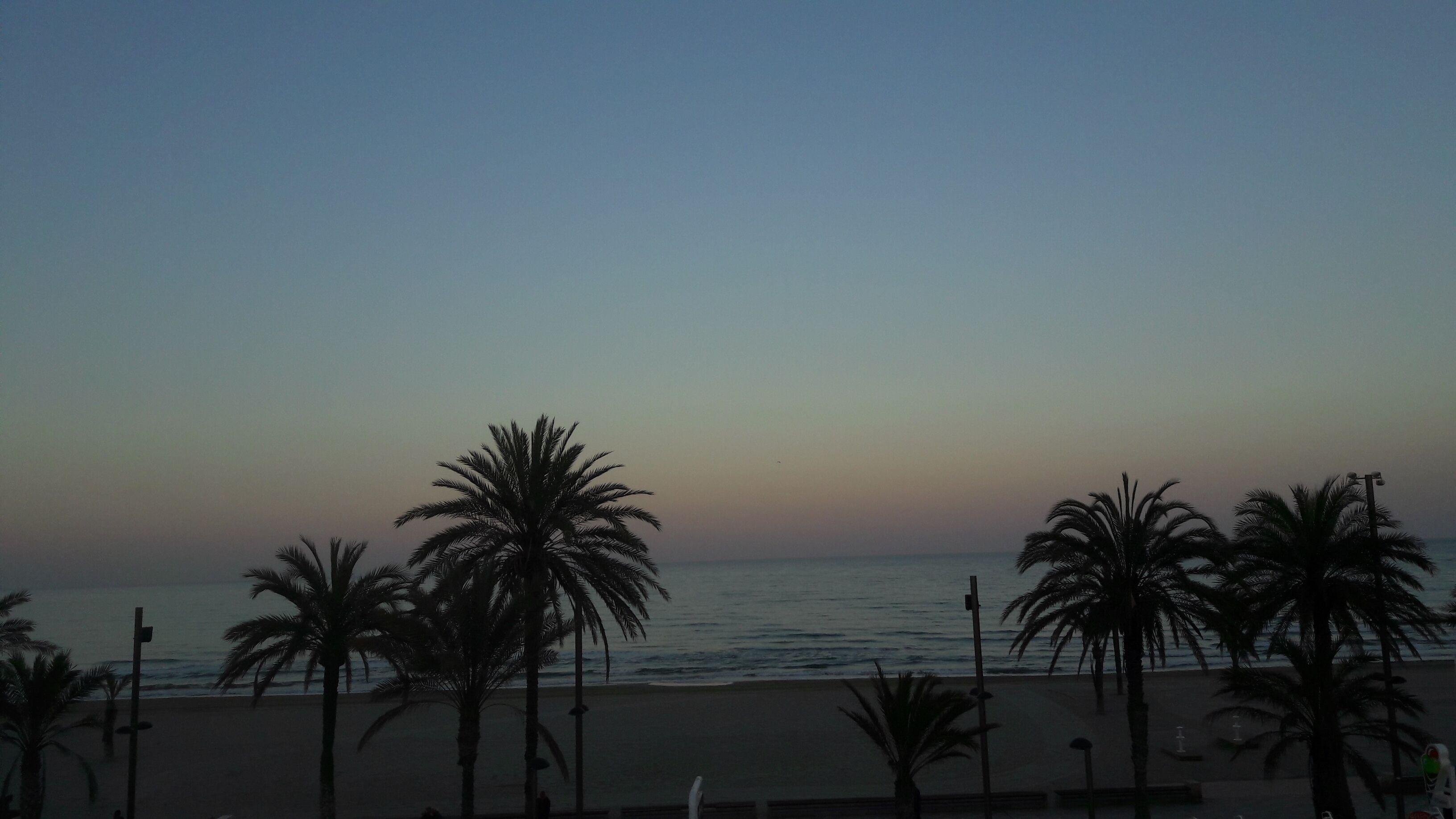 Uma praia com palmeiras e um mar calmo ao pôr do sol.