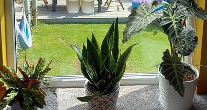 fantastic family home- central village location & short level walk to beach