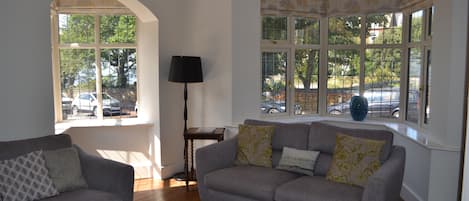 Smart TV, fireplace, DVD player, books