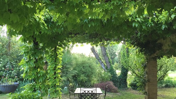 A covered patio area with a table and chairs, surrounded by lush greenery and potted plants.