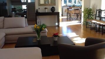 Smart-tv, een open haard, een dvd-speler en boeken