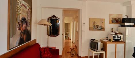 TV, books, stereo