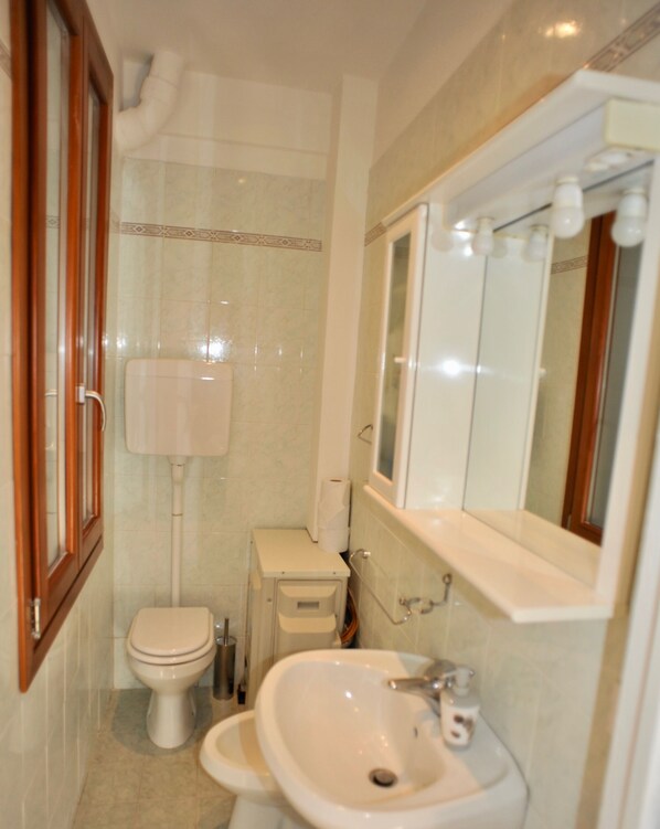 Shower, hair dryer, towels, toilet paper