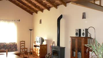 TV connectée, cheminée