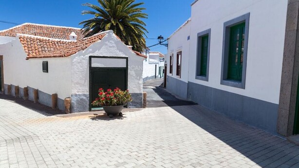 Uma rua estreita com edifícios brancos, um telhado em azulejos e uma palmeira.