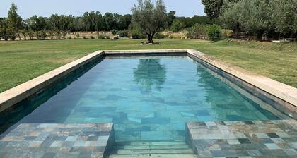 At the foot of the Luberon, authentic 18th century Mas. stone with pool