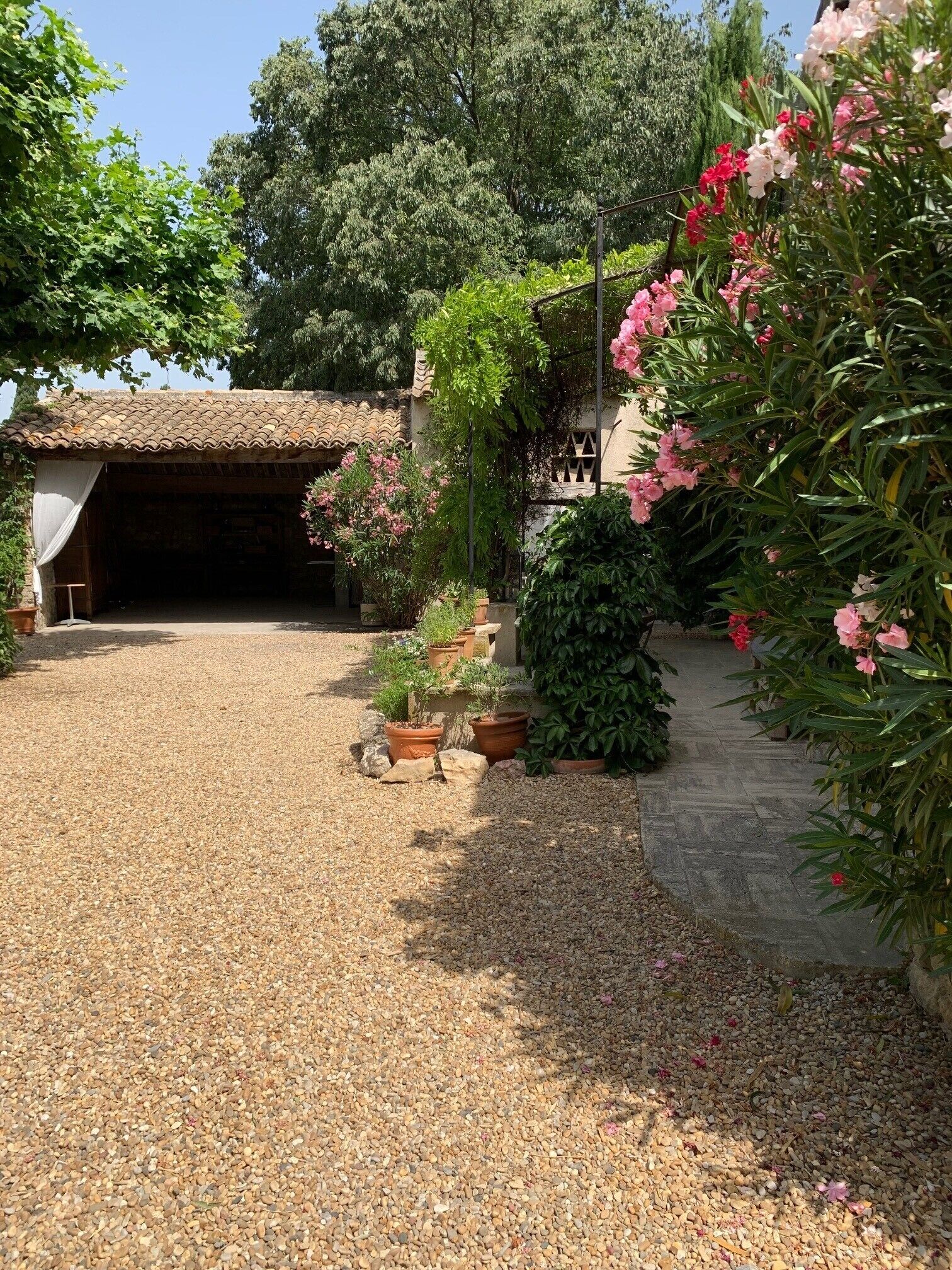 Terrein van de accommodatie