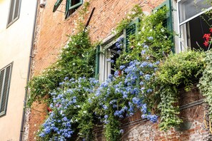 A building with a brick facade, green shutters, and a window with blue flowers.