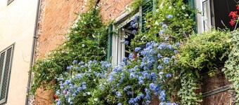  Apartment With Terrace + Private Parking+wifi and AC, close to Lucca downtown