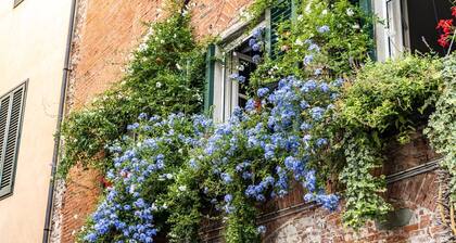 Apartment With Terrace + Private Parking+wifi and AC, close to Lucca downtown