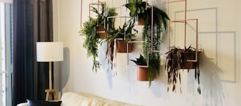 Homing Apartamento La Pineda 23