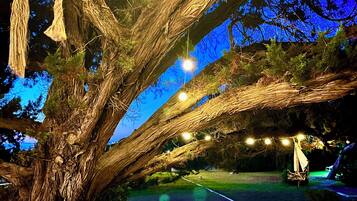 A large tree with hanging lights, outdoor seating, and a grassy area.