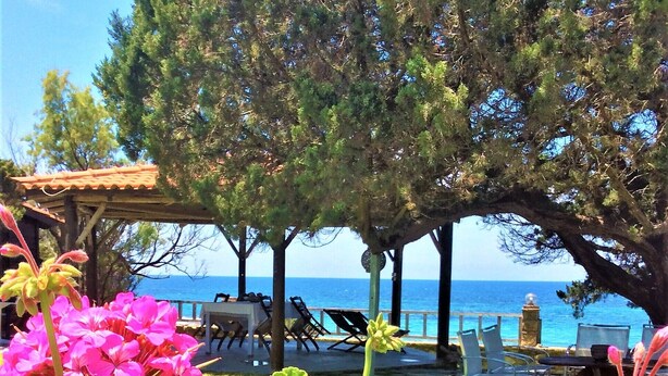 Un jardín con vibrantes flores rosadas y follaje verde, una pérgola de madera y vistas al mar con sillones de descanso.