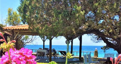 Genari Beach Apartments-Family apartment with Sea view