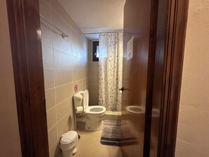 A small bathroom with a toilet, a shower curtain, and a rug. - Genari Family Sea View Apartment Steps from the Beach (LEVENTOCHORI)