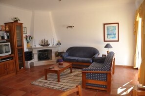 Televisión, chimenea, videojuegos y reproductor de DVD 