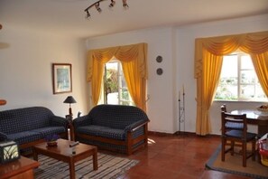 Televisión, chimenea, videojuegos y reproductor de DVD 