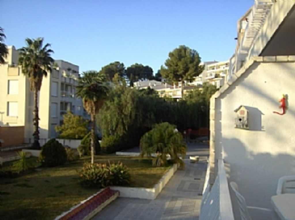 A courtyard with a pathway, palm trees, and a building with a fire hydrant on the wall.