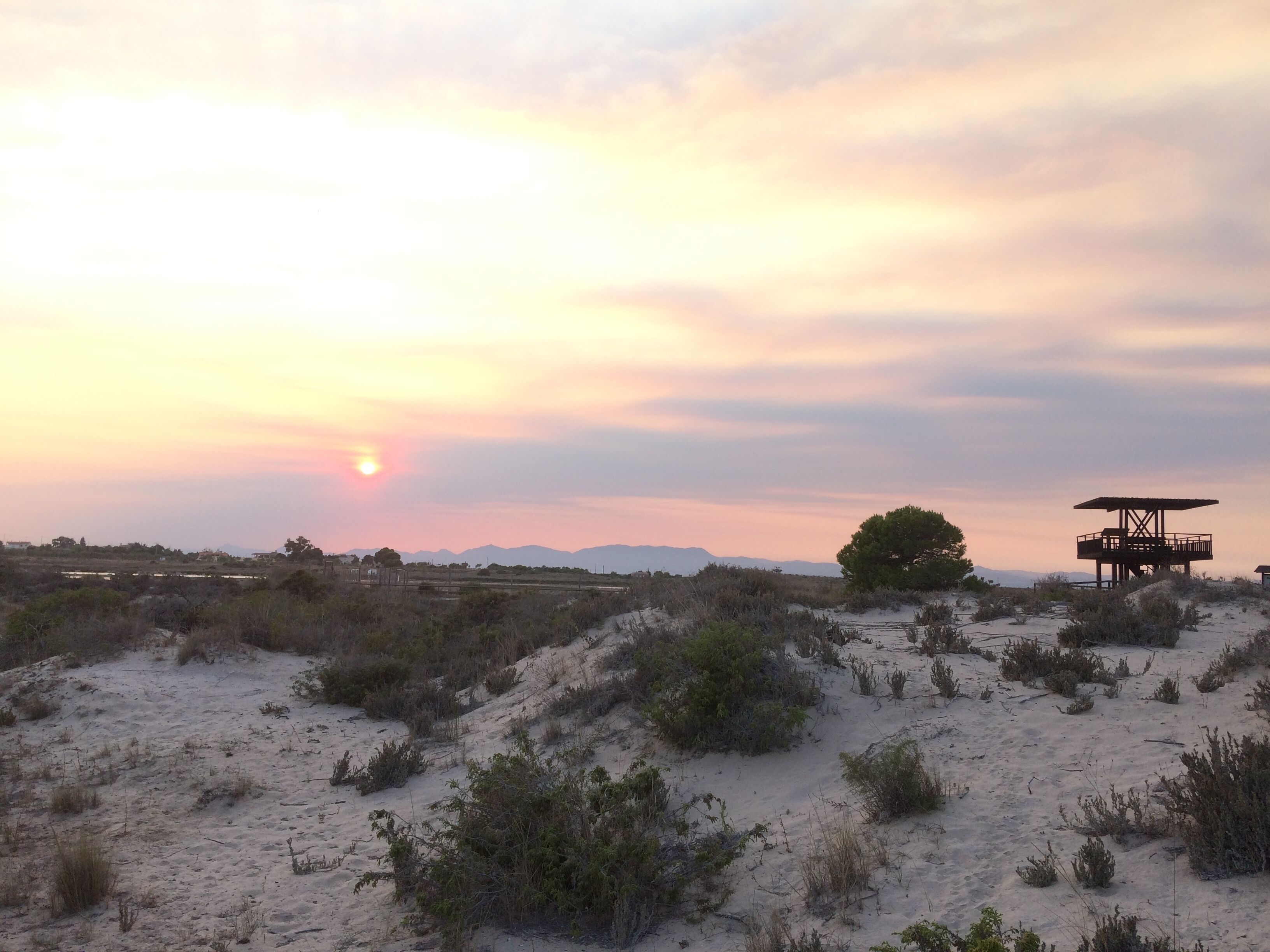 A desert landscape with a dune, sparse vegetation, and a structure with a roof and railing.