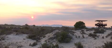 A desert landscape with a dune, sparse vegetation, and a structure with a roof and railing.