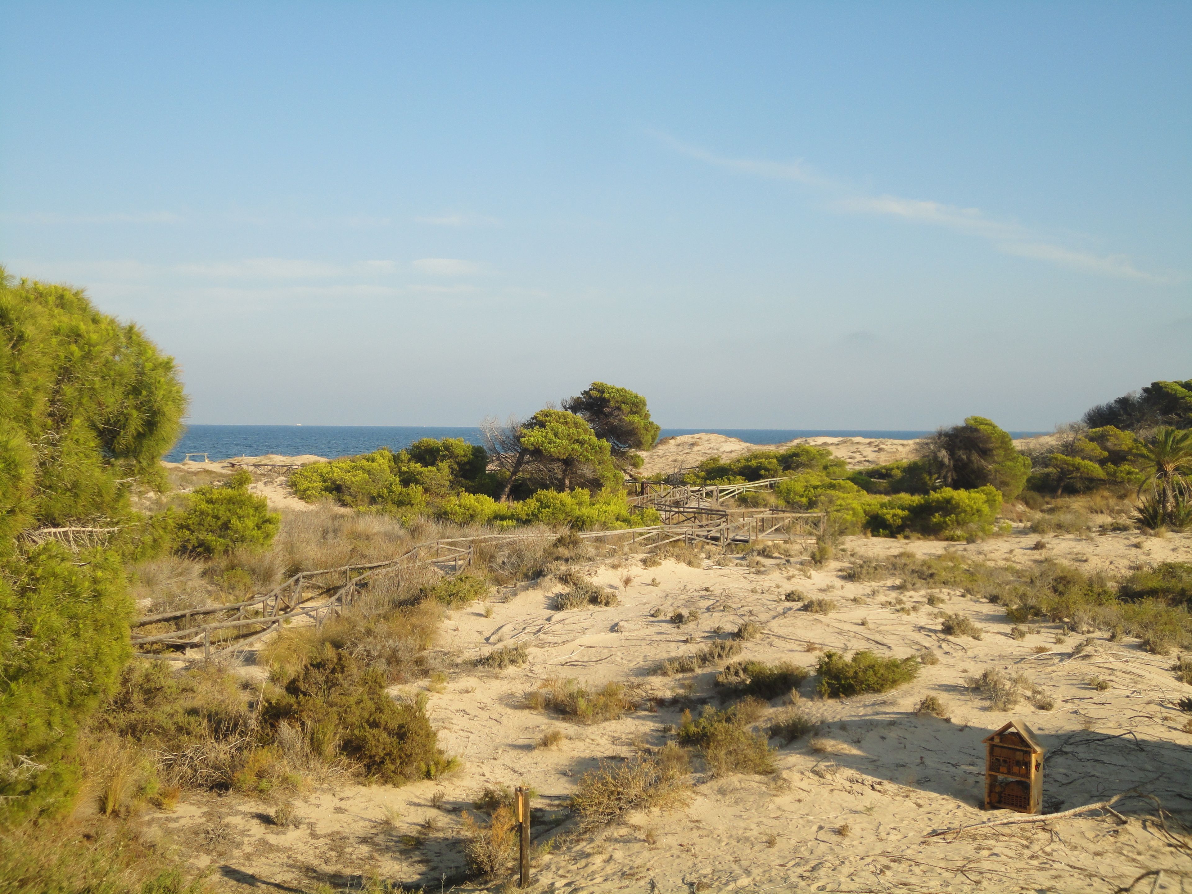 A sandy landscape with sparse vegetation and a small wooden structure.