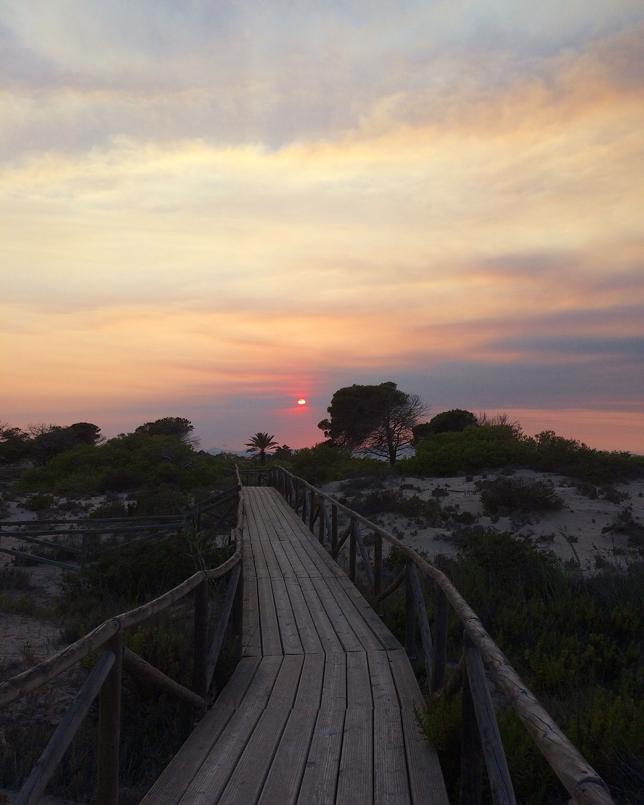 A wooden boardwalk leading to a sunset over a sandy landscape with sparse vegetation.