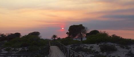 A wooden boardwalk leading to a sunset over a sandy landscape with sparse vegetation.