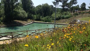 Una piscina circondata da un pontile in legno e da un campo di fiori gialli.