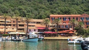 Un hotel frente al mar con varias edificaciones, un puerto deportivo con barcos y palmeras.