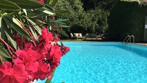 Una piscina azul cristalina rodeada de exuberante vegetación y coloridas flores rojas.