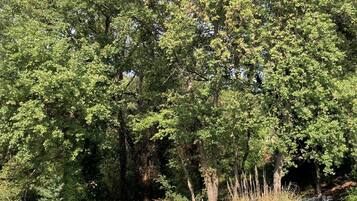 Superior Double Room, Private Bathroom, Pool View | Outdoor pool | Outdoor pool, a heated pool, pool loungers