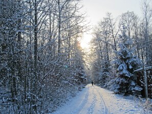 Deportes de invierno