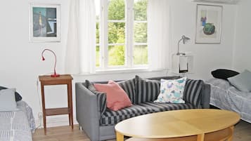 Een televisie, een open haard, een dvd-speler en boeken