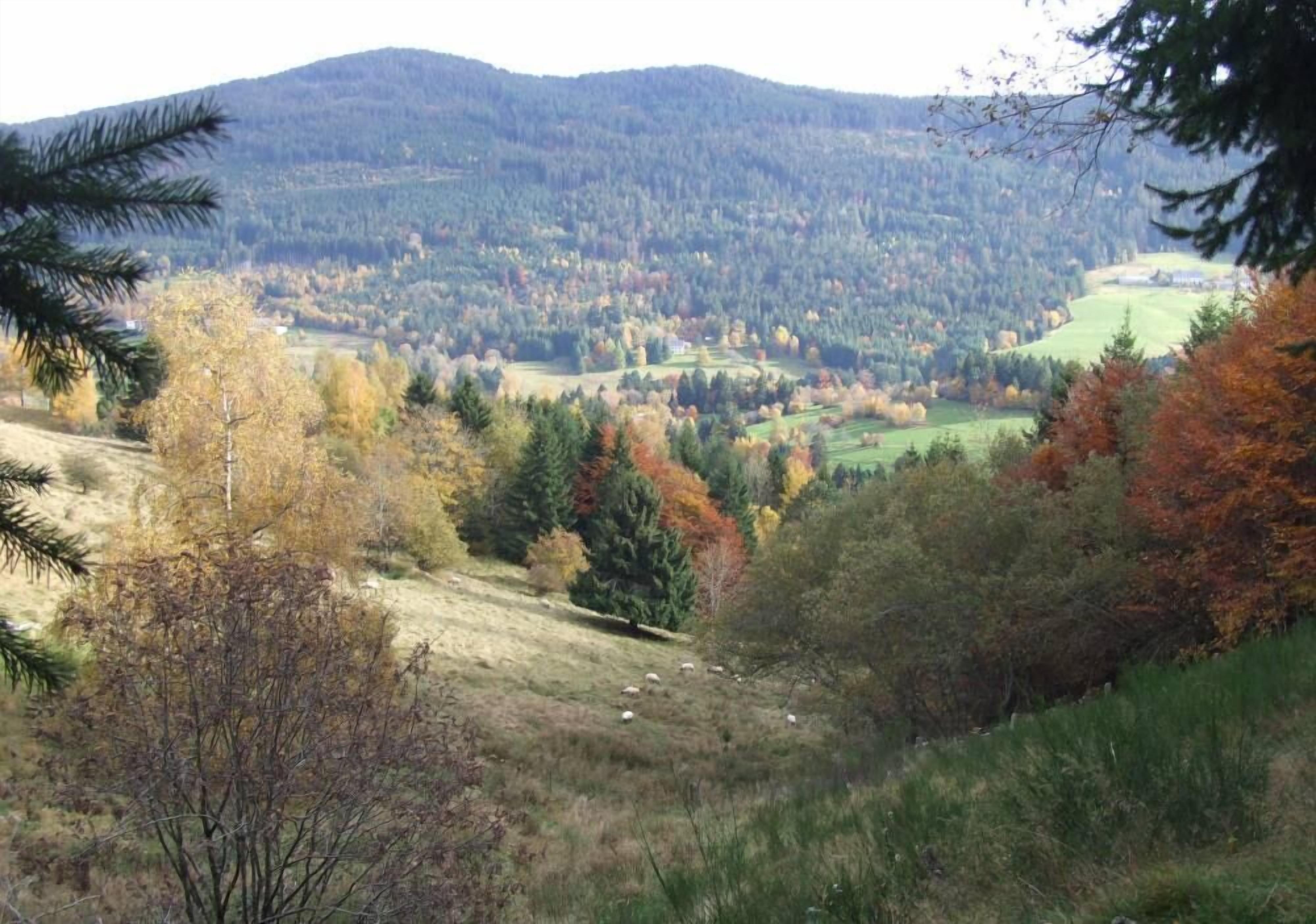 A mountainous landscape with autumn foliage, a grassy hill, and a distant village.