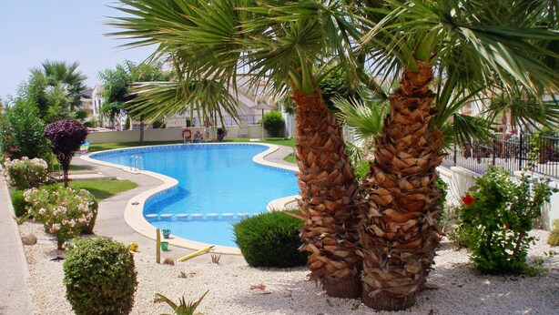 Ein Swimmingpool, umgeben von Palmen und verschiedenen Pflanzen.