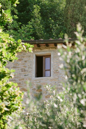 Exterior detail - Villa Cungi with Privacy, stunning view, private pool, wifi Tuscany no neighbors (Sansepolcro)