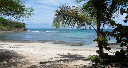 Gosier Charming bungalow facing the sea