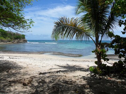 Gosier Charming bungalow facing the sea
