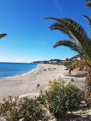 Une plage avec un ciel bleu dégagé, un rivage sablonneux et quelques zones verdoyantes.