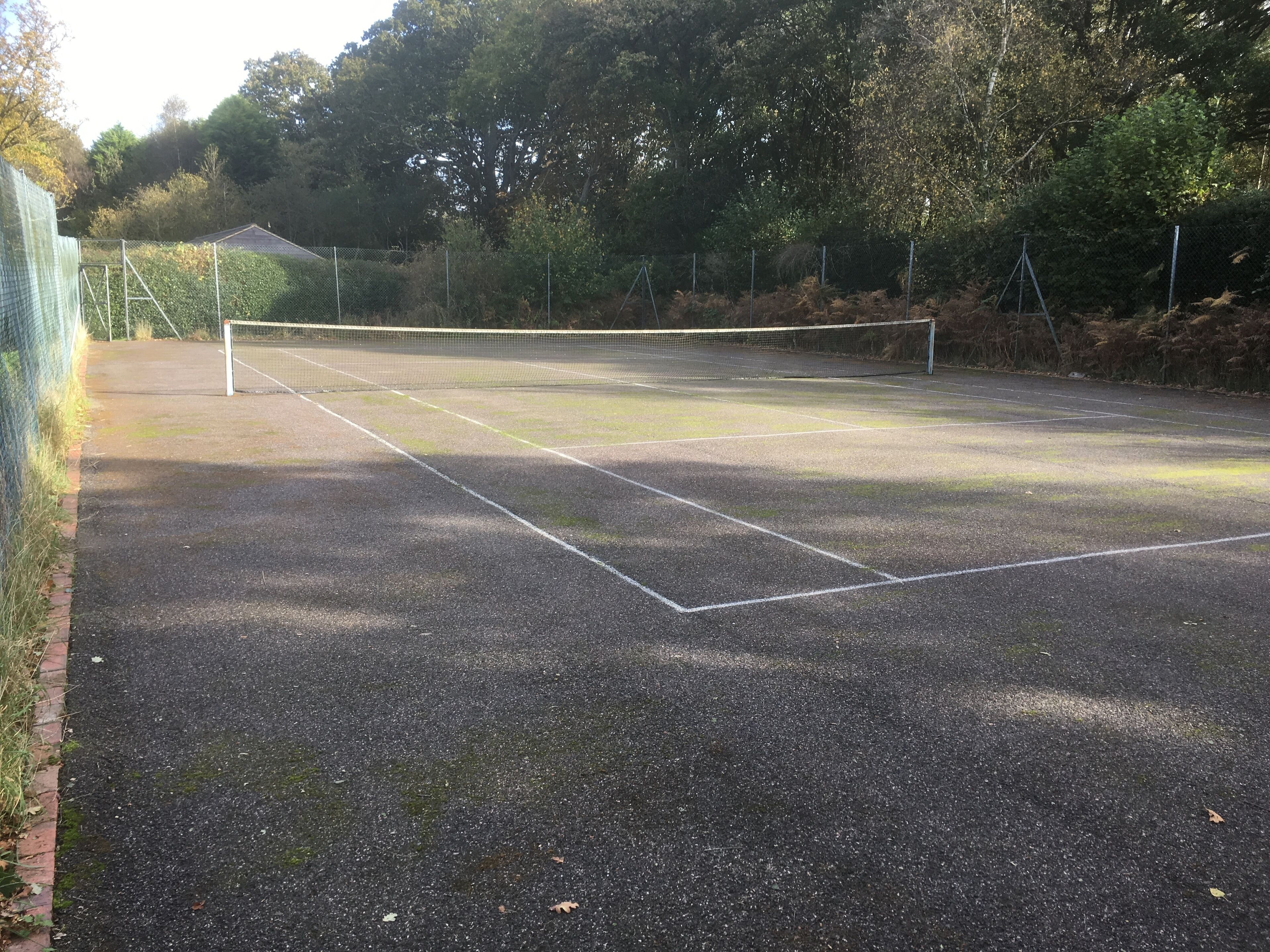 Ternis court - can get a little mossy in winter!