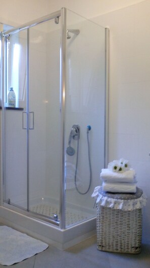 Regadera, secadora de cabello, bidet, toallas 